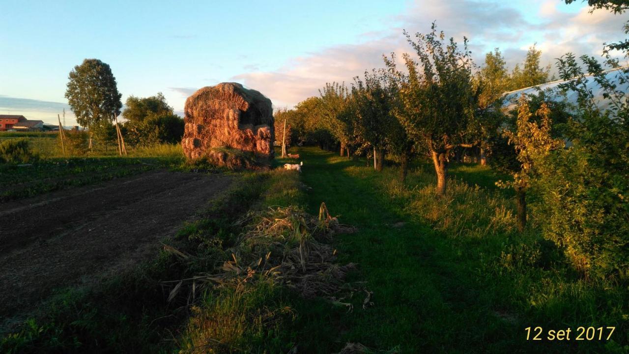 Agriturismo Taglio Del Re Villa Jesolo Exterior foto