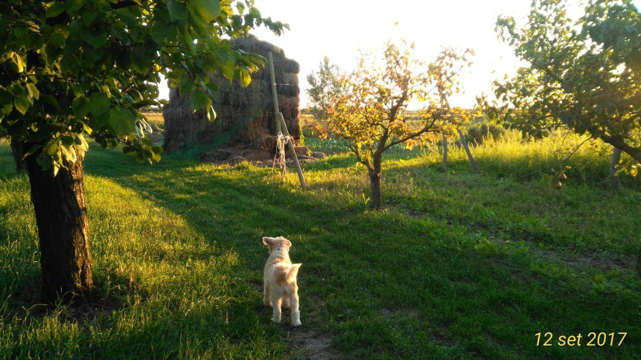 Agriturismo Taglio Del Re Villa Jesolo Exterior foto